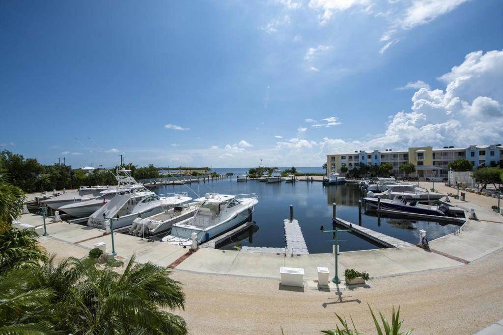 Licensed Mgr - 3/3.5 Modern Villa - Key Largo'S Premier Oceanfront Resort And Marina! Eksteriør billede